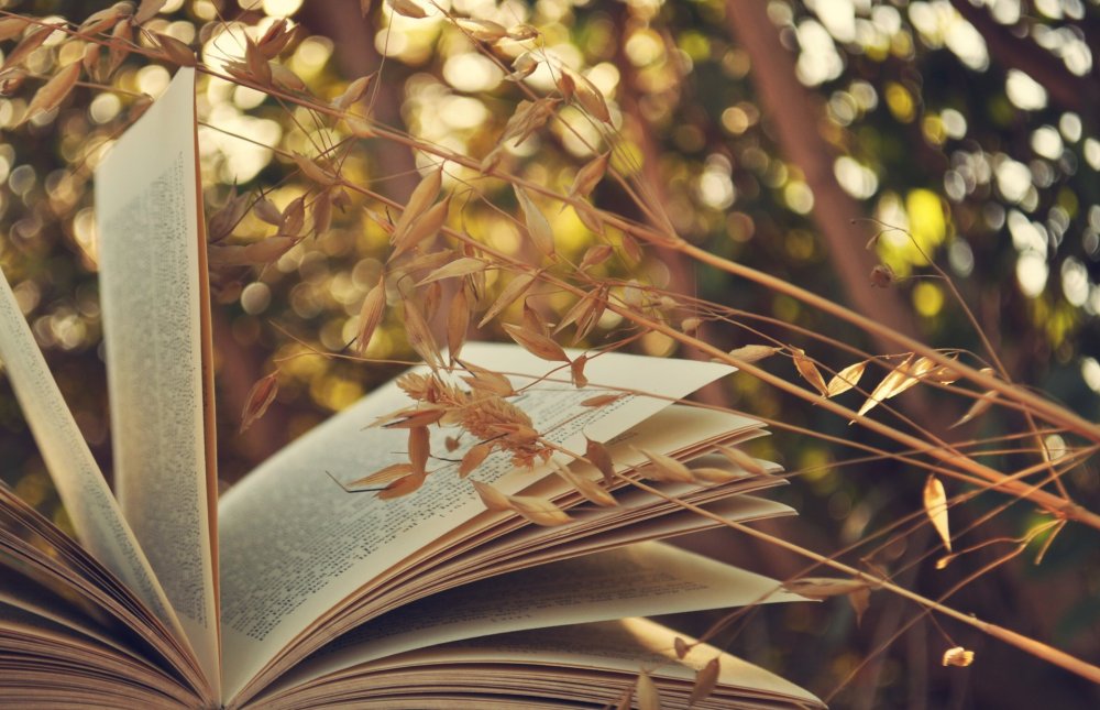 Красивый фон с книгами