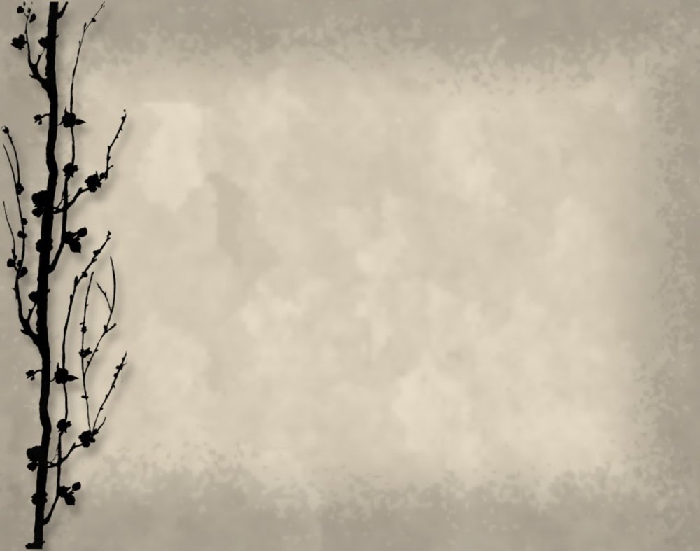 Фон для презентации по литературе светлый