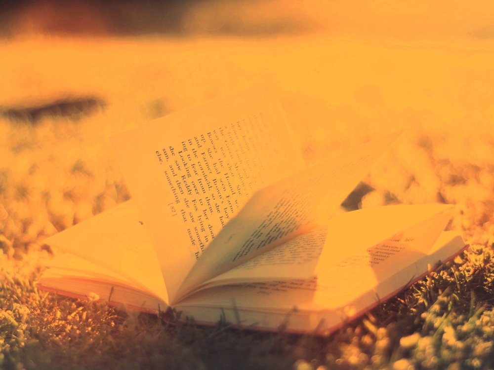 Литературный фон