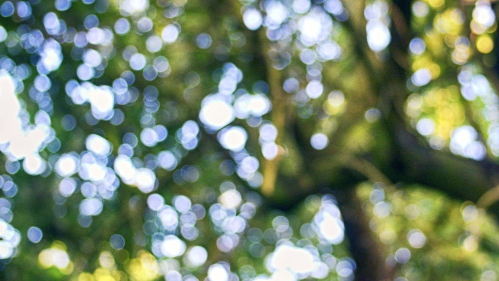 Фон боке