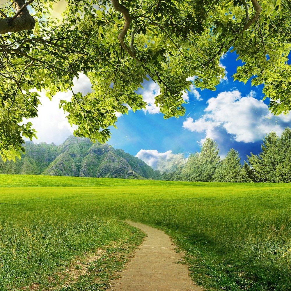 Природный фон