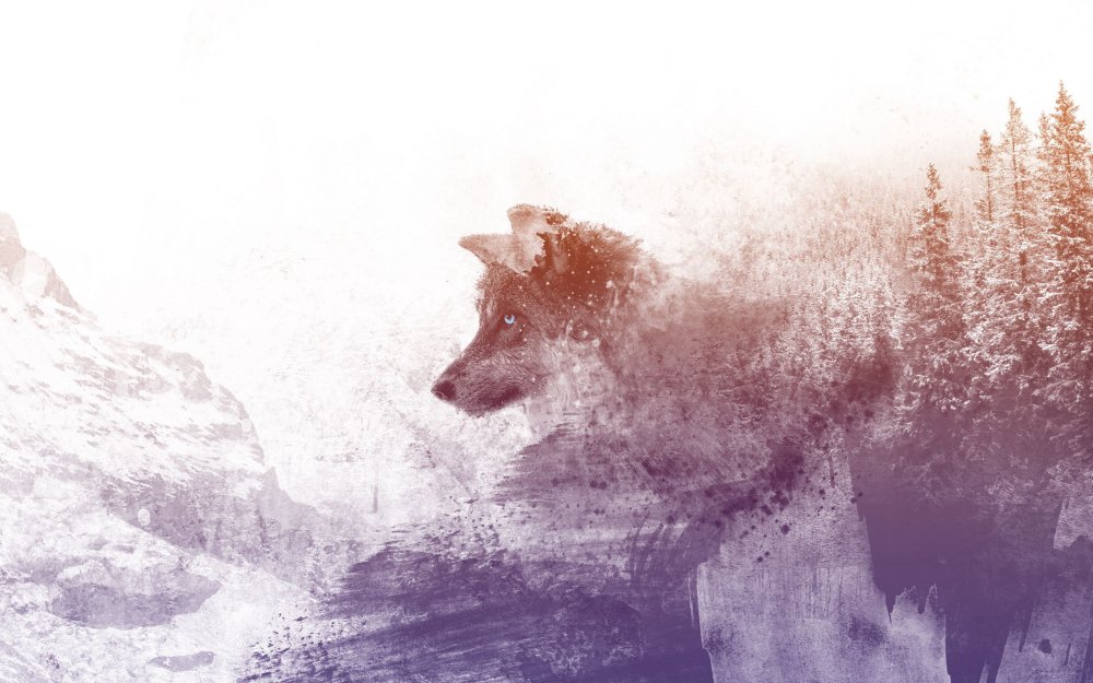 Волк абстракция