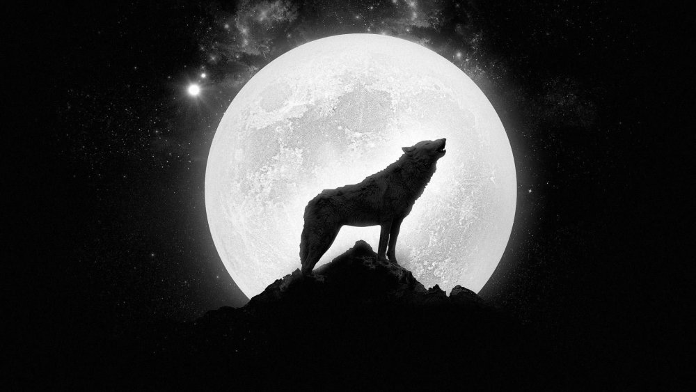 Howling Wolf музыкант