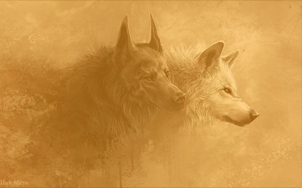 Фон для рабочего стола волк