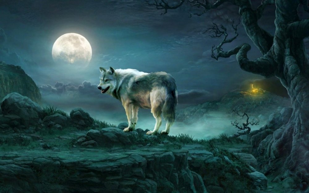 Волк в ночи
