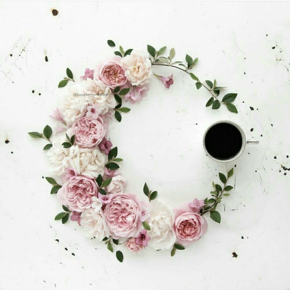 Кружок для инстаграмма