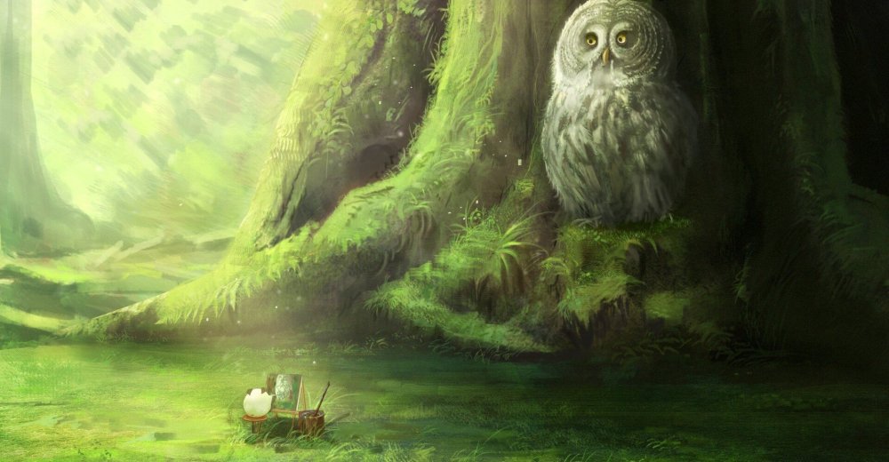 Фон лес с совой