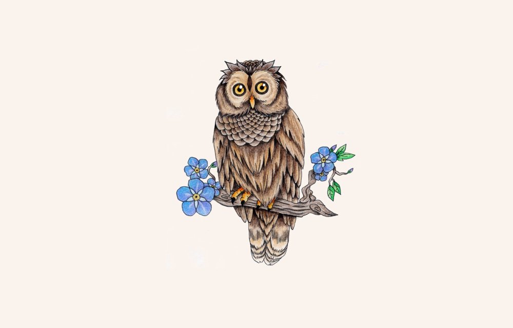 Сова на дереве