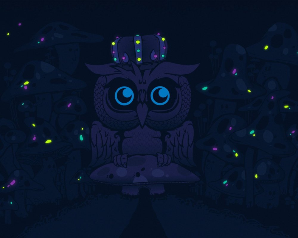 Совиный дом концепт арты
