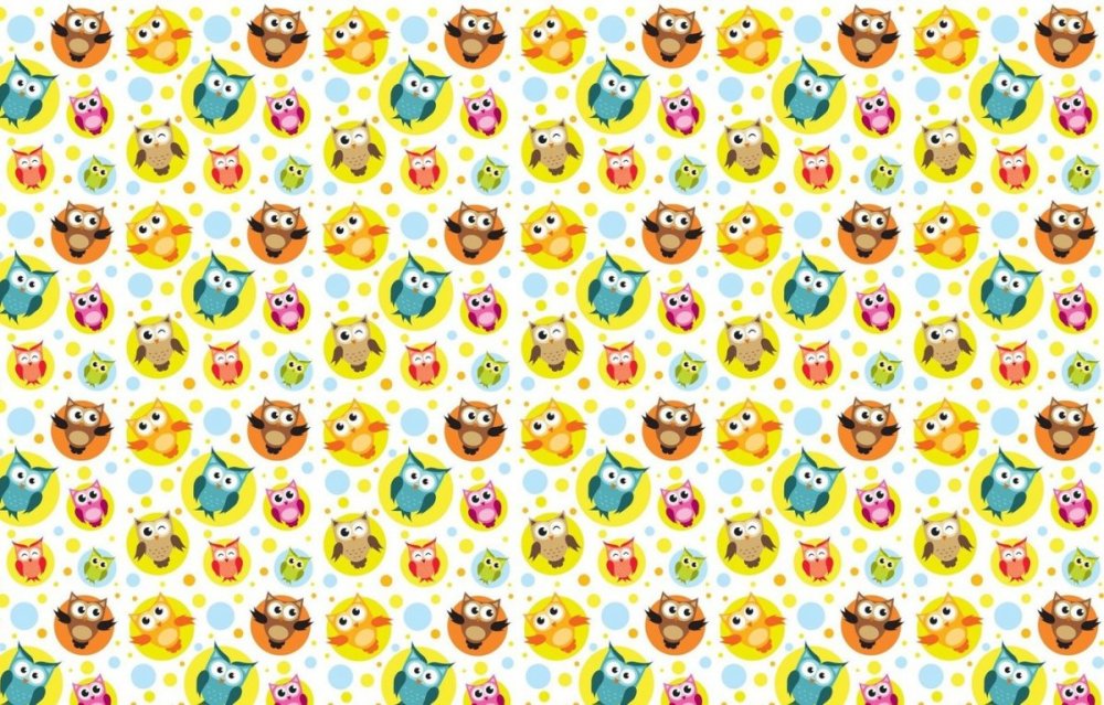 Дом Совы дом