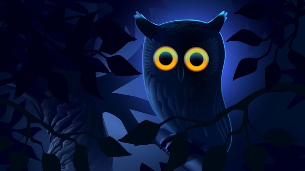 Обои с изображением Совы