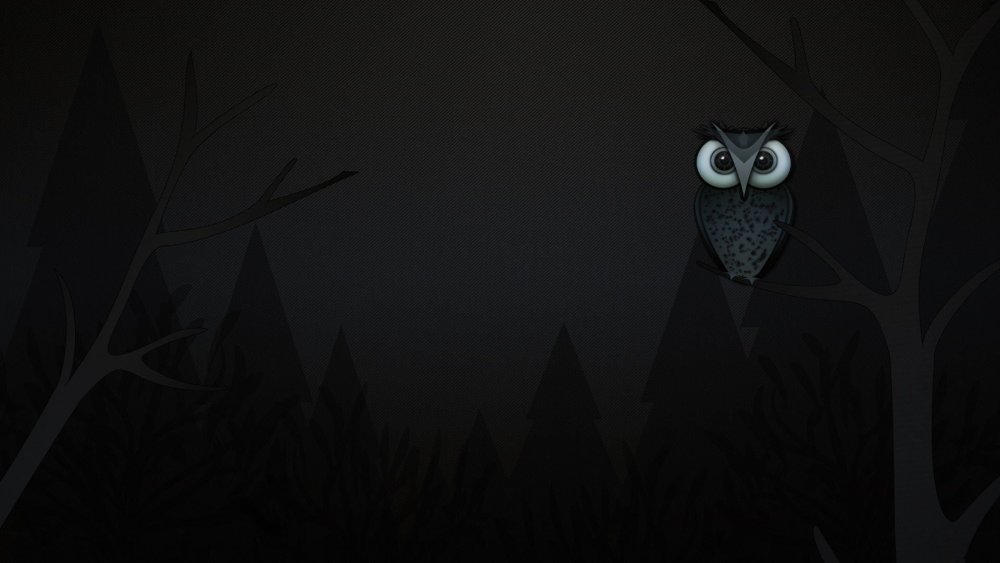 Заставка на рабочий стол Сова