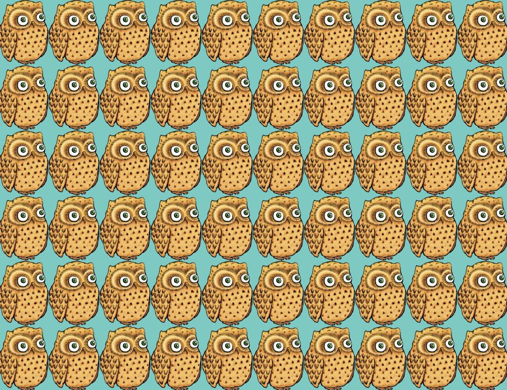 Сова рисунок Минимализм