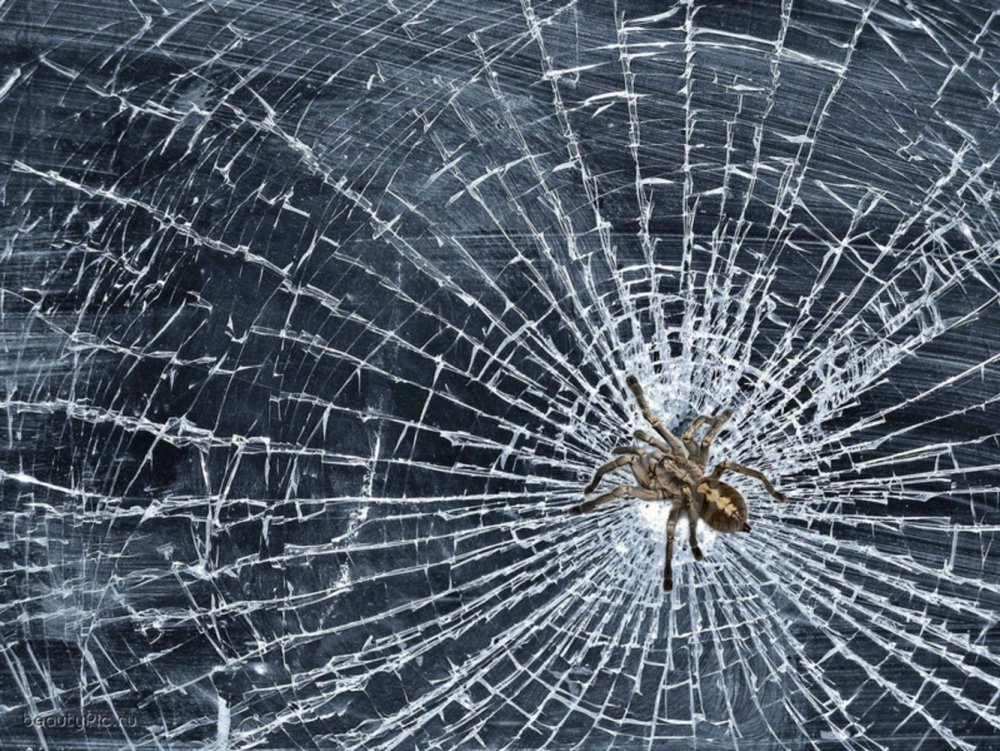 Разбитое стекло