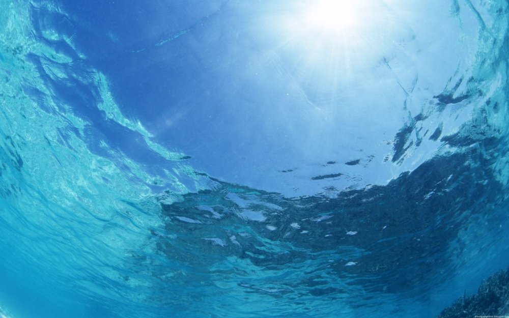 Море под водой