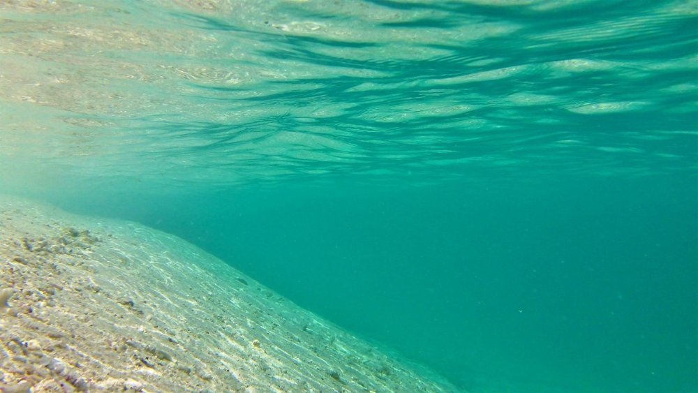 Прозрачная вода