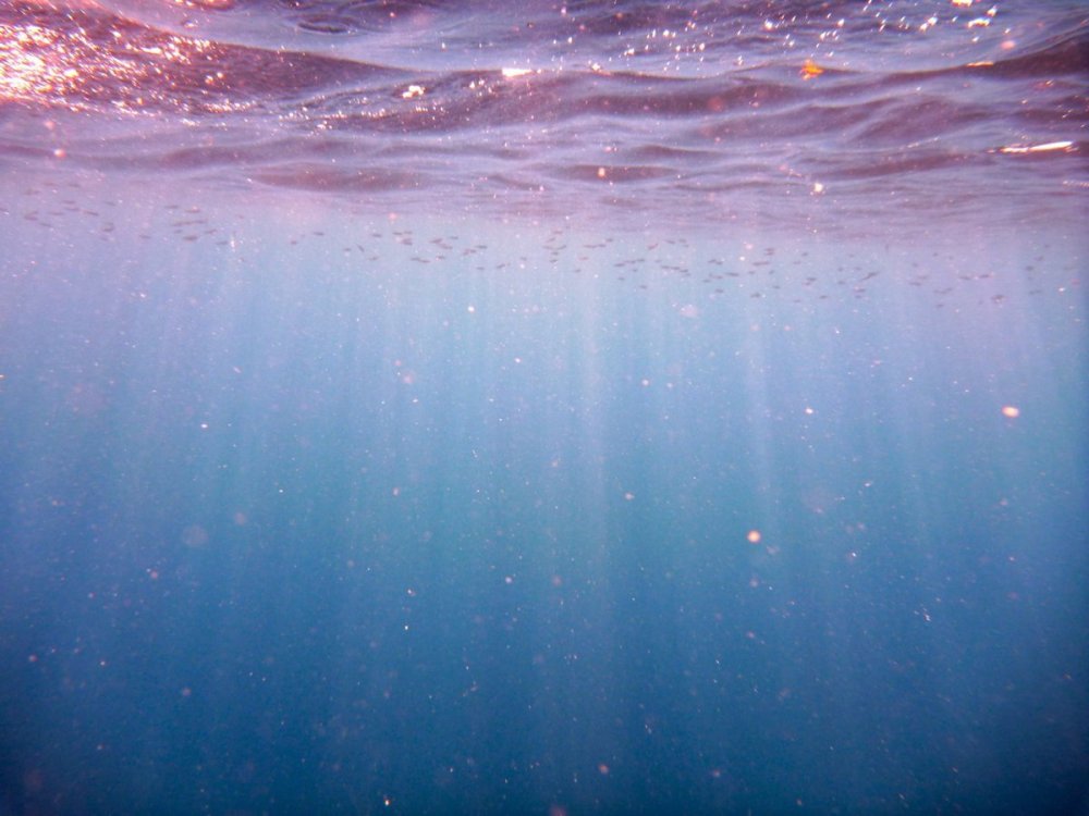 Океан под водой