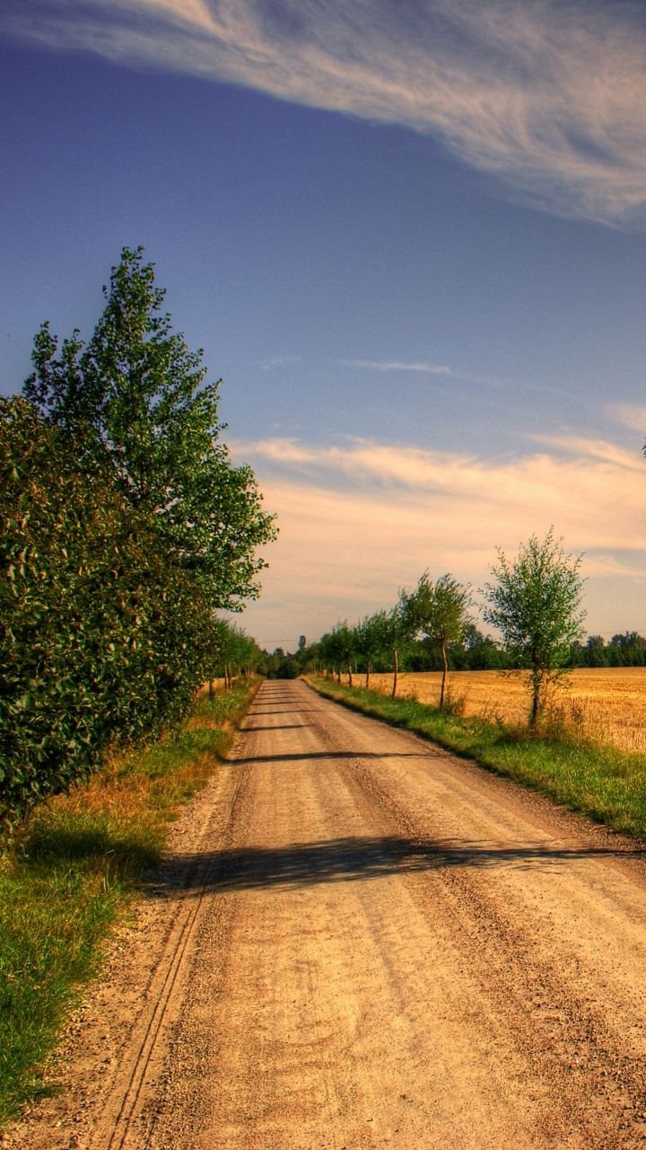 Сельская дорога