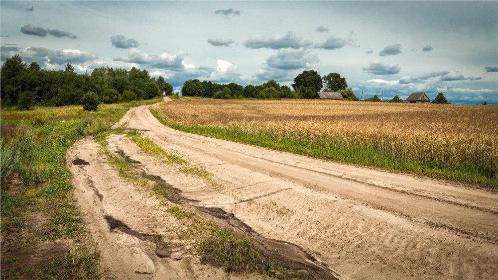 Проселочная грунтовая дорога