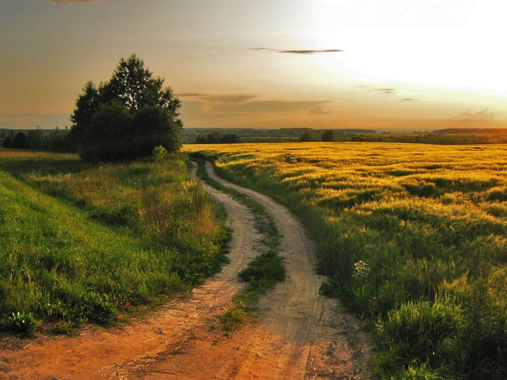 Сельская Проселочная дорога