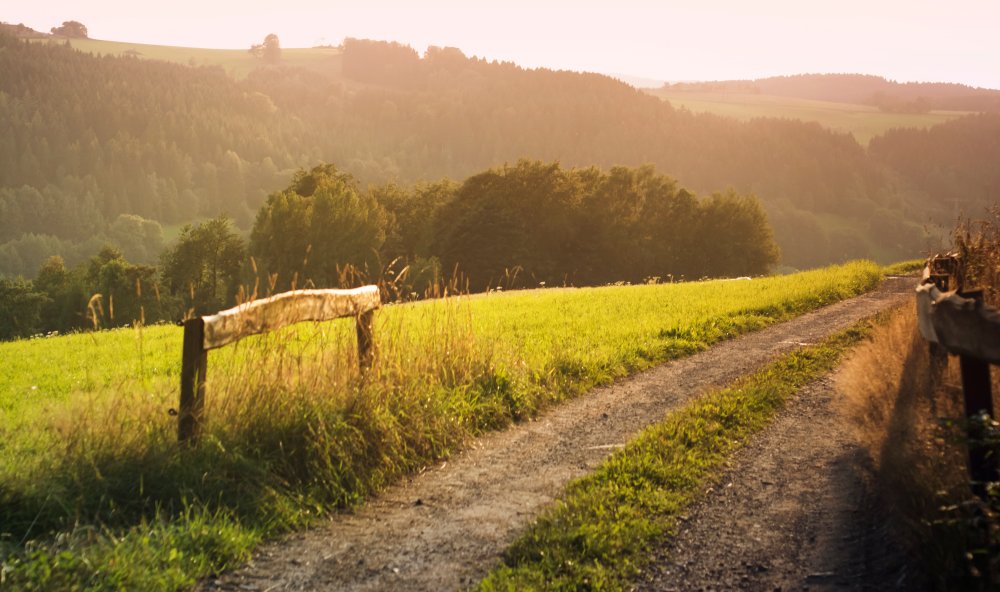 Деревня дорога красиво