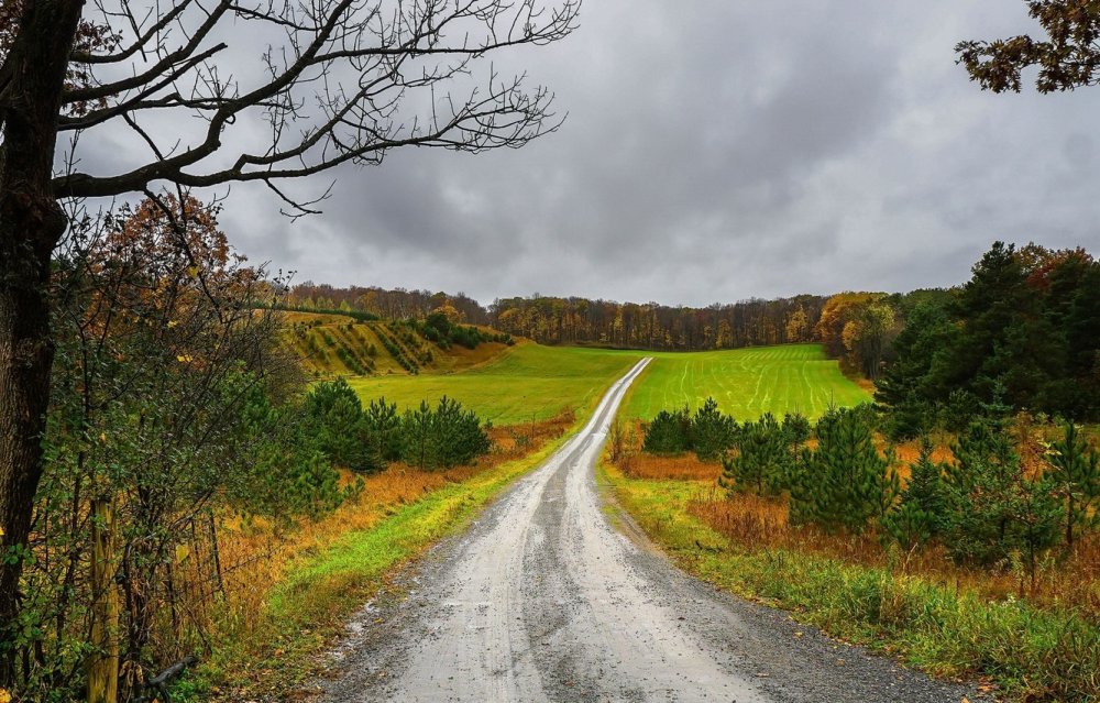 Осенняя Проселочная дорога