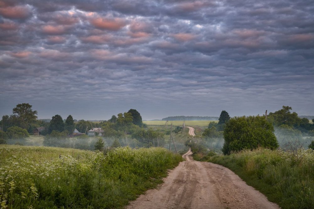 Деревня природа Проселочная дорога