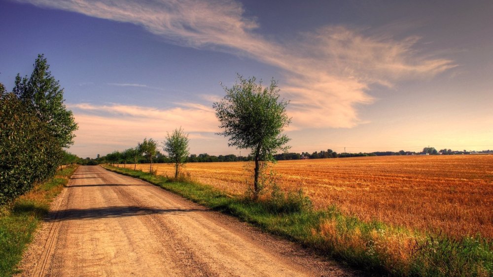 Дорога в поле