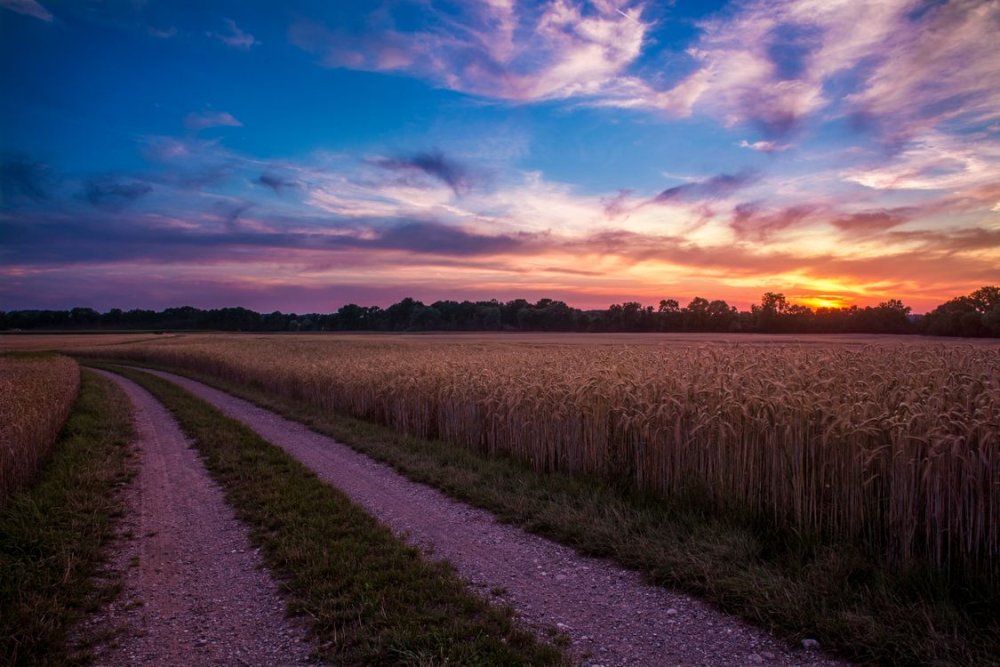 Закат в поле