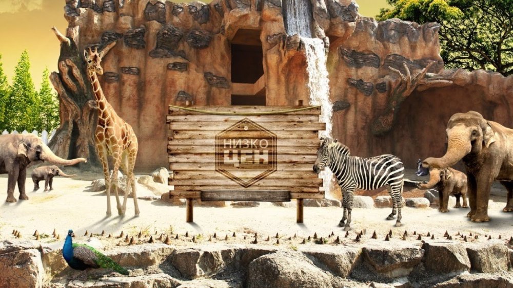 Баннер зоопарк