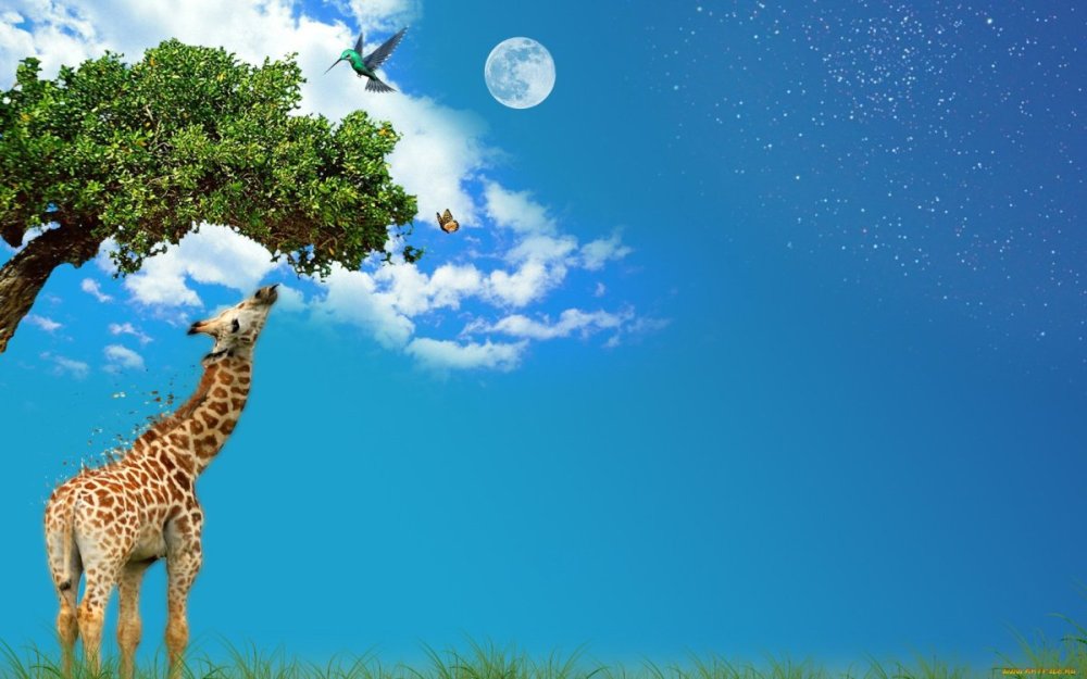 Фон зоопарк для фотошопа