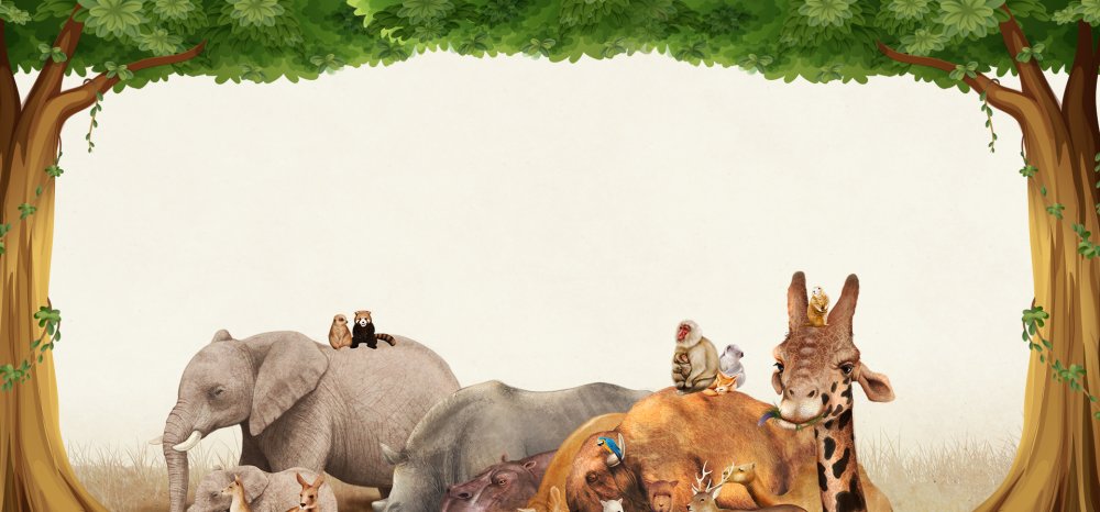 Путешествие в зоопарк