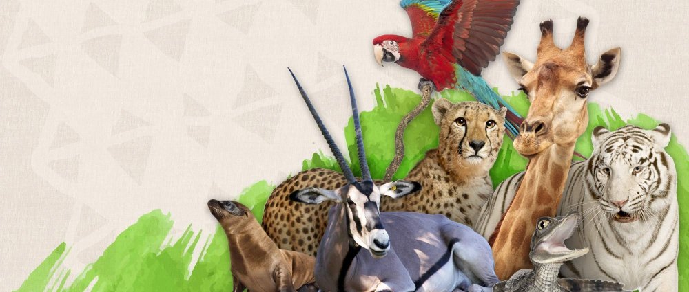 Фон зоопарк война