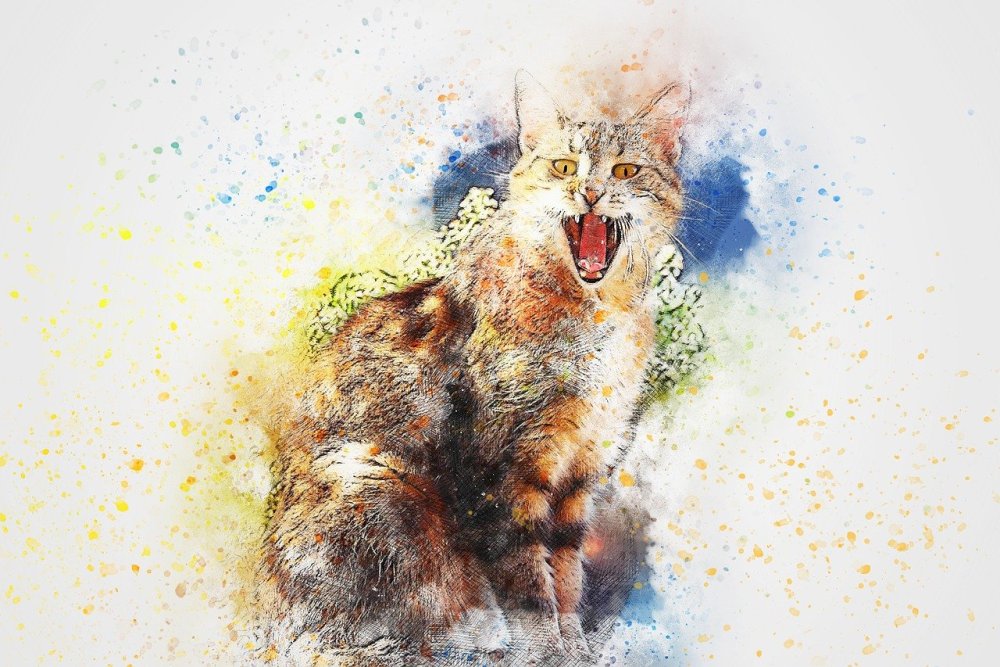 Кошка абстракция