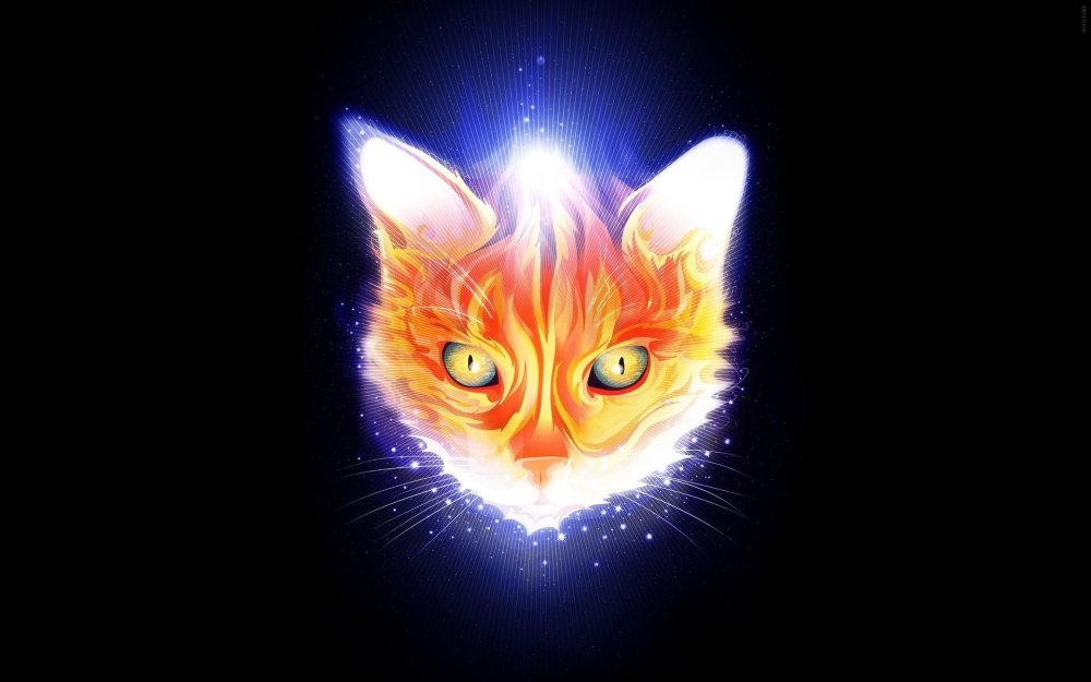 Неоновый кот
