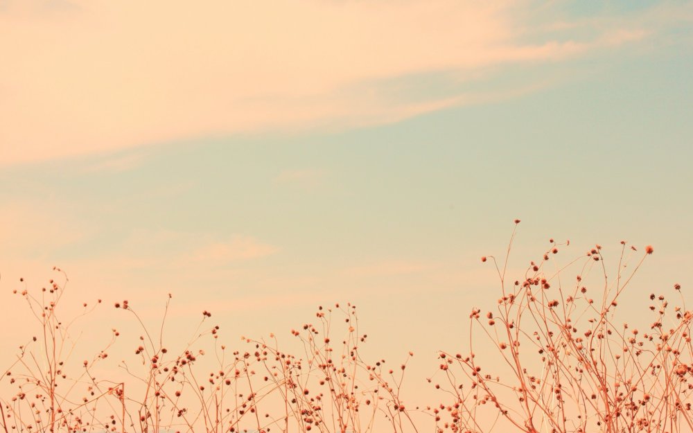 Пастельный фон