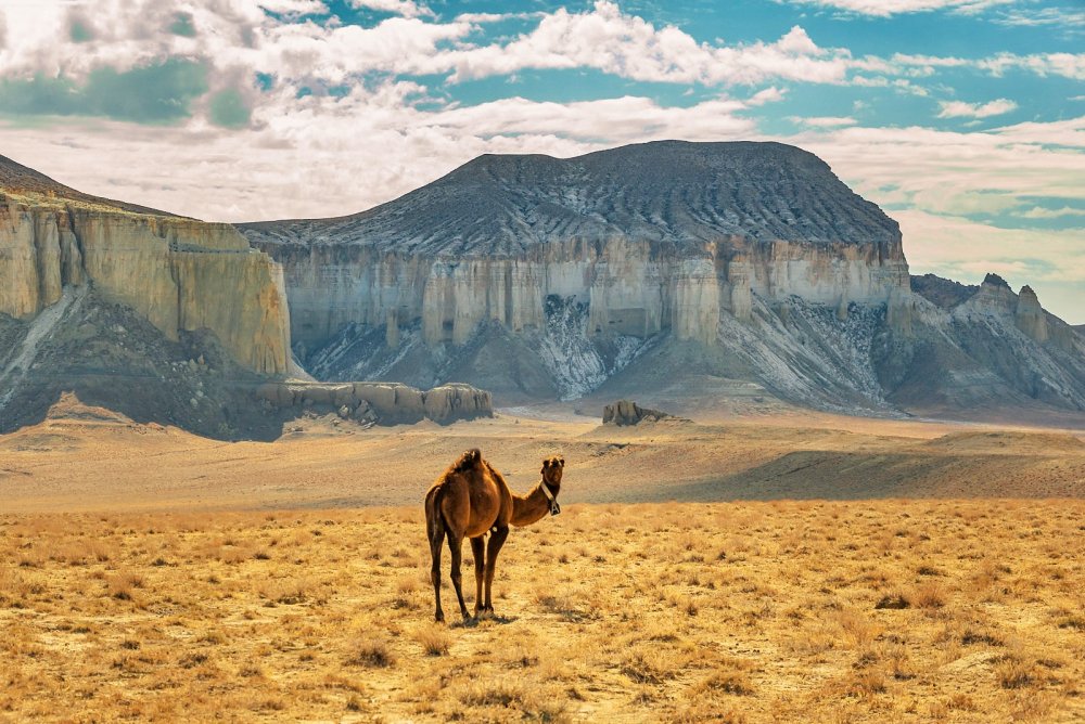 Казахстан Мангыстау горы