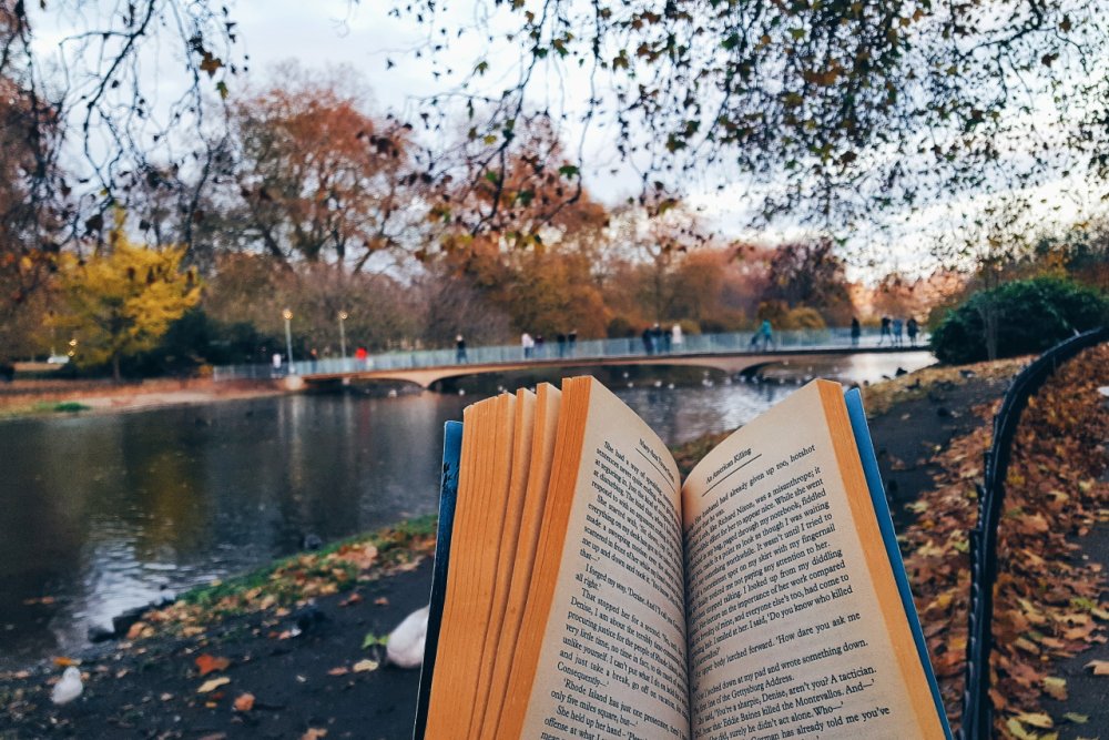 Стол заваленный книгами