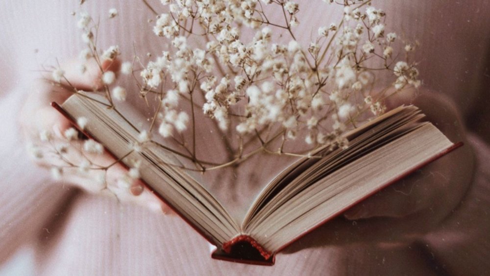 Книги Эстетика