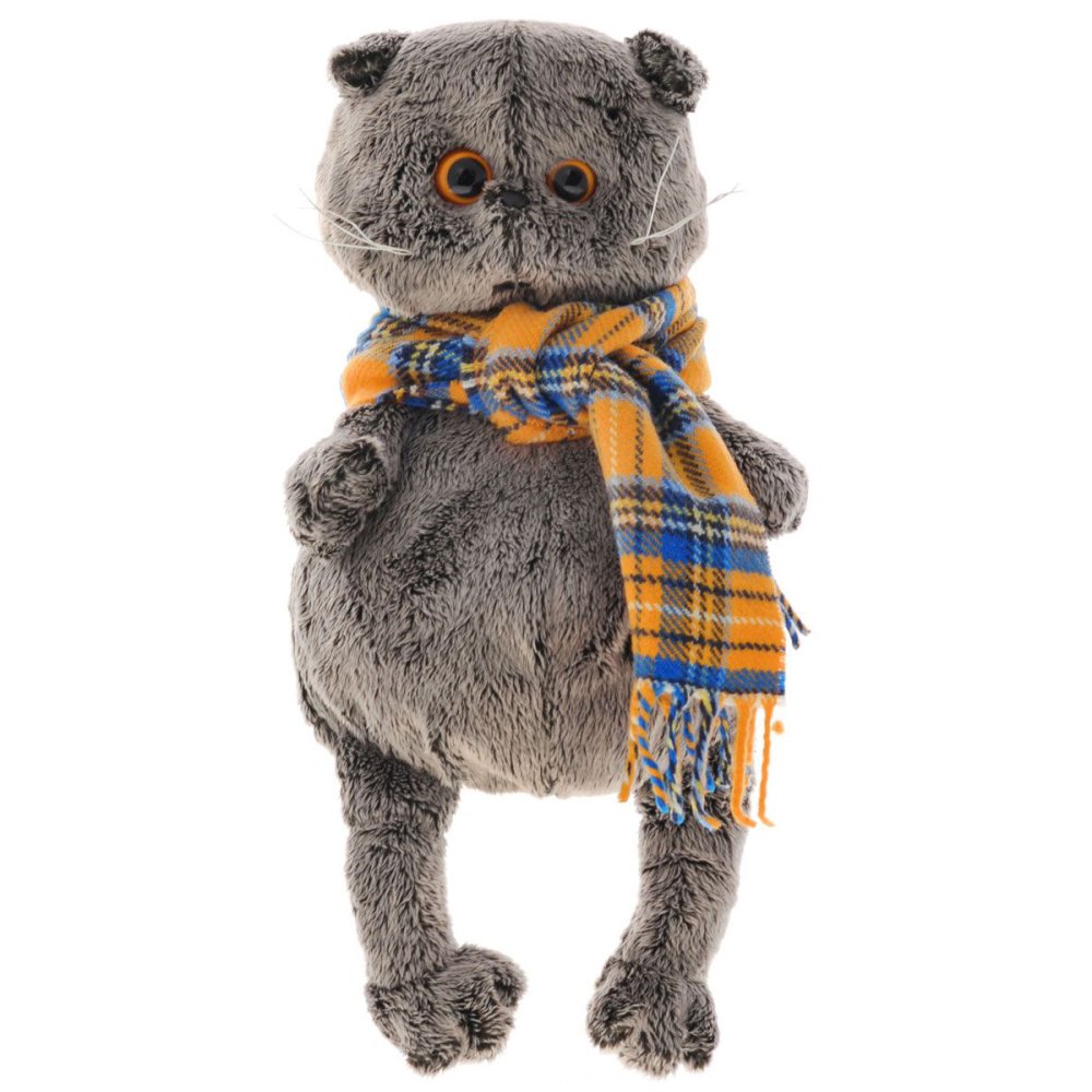 Кот басик