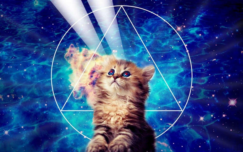 Кот на фоне космоса