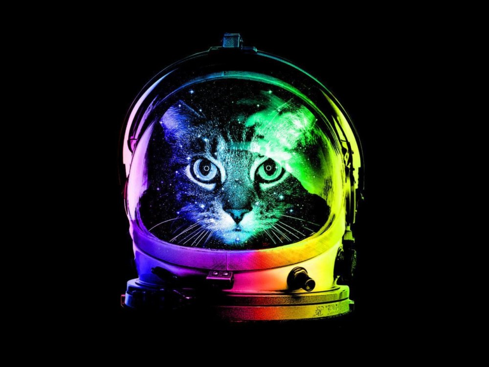 Неоновый кот