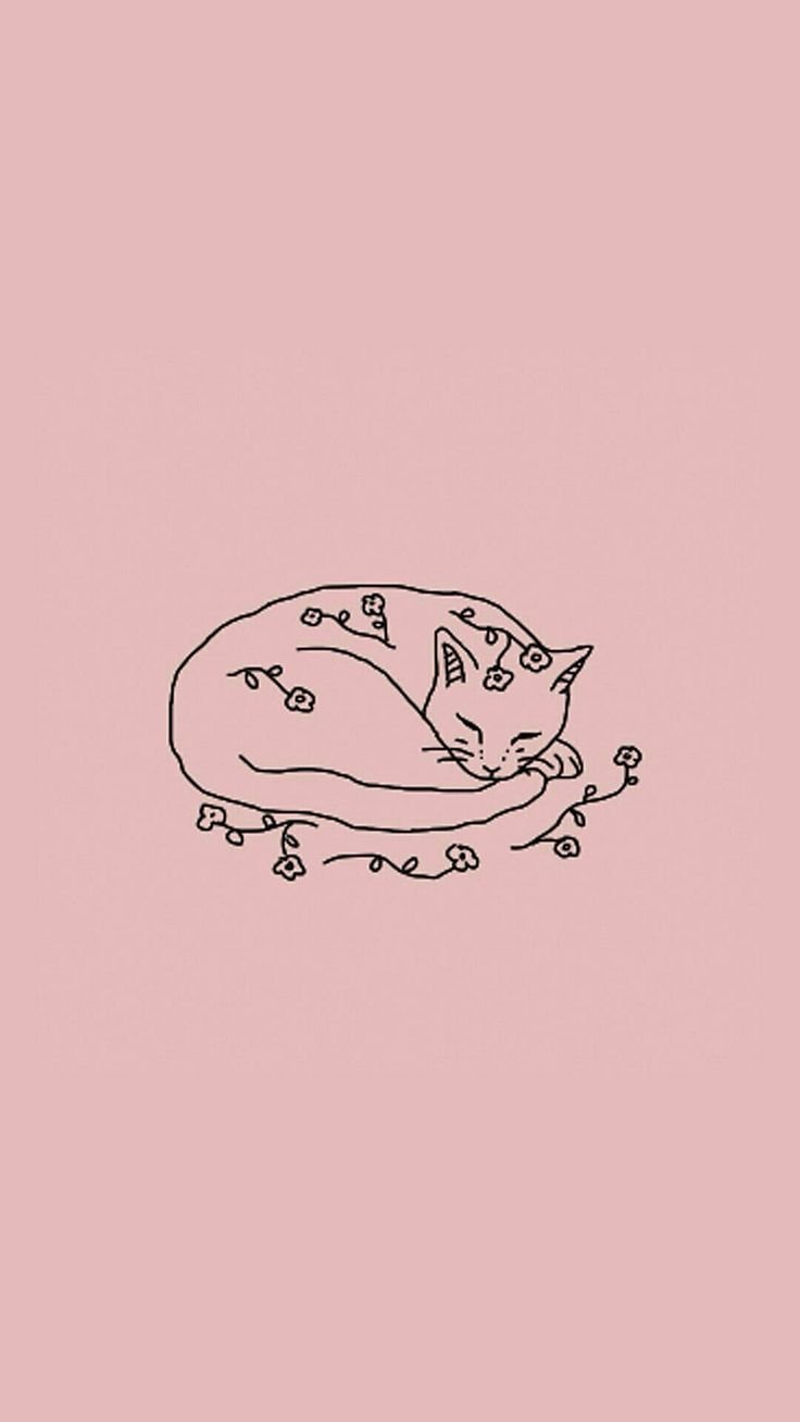 Минималистичные котики