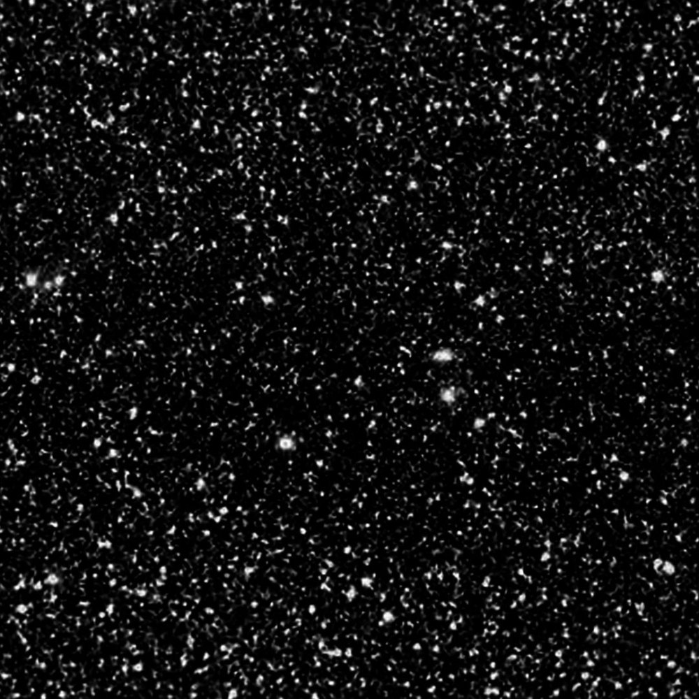 Чёрные блёстки