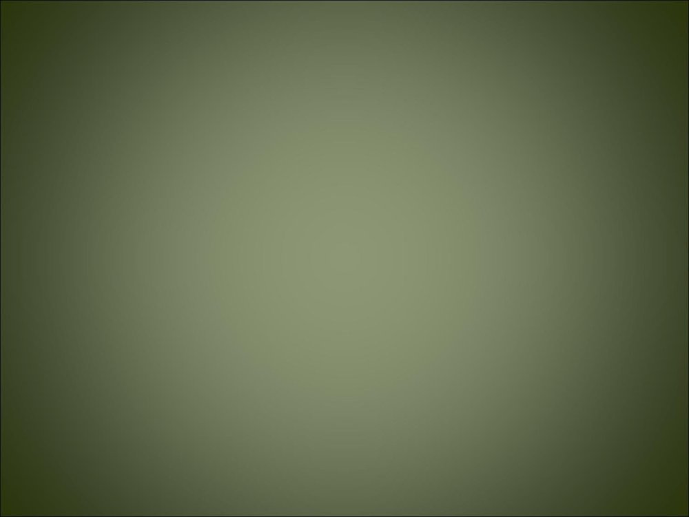 Светло фисташковый цвет