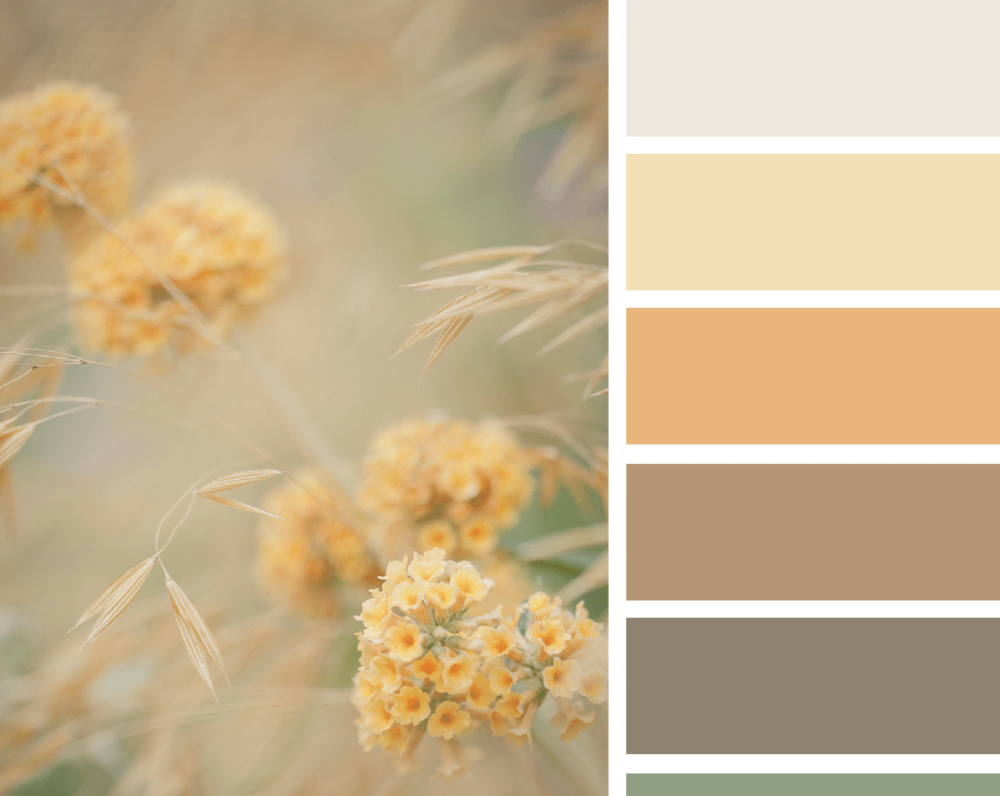 Цветовая палитра бежевый