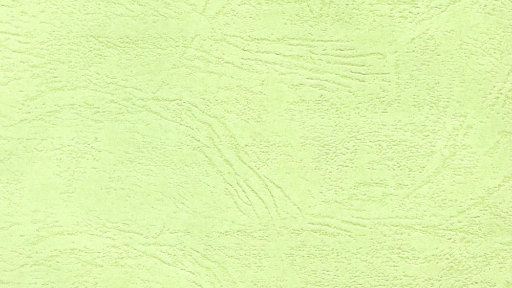 Постельный зеленый цвет