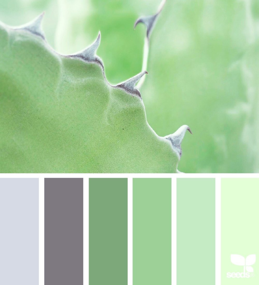 Фисташковый фон