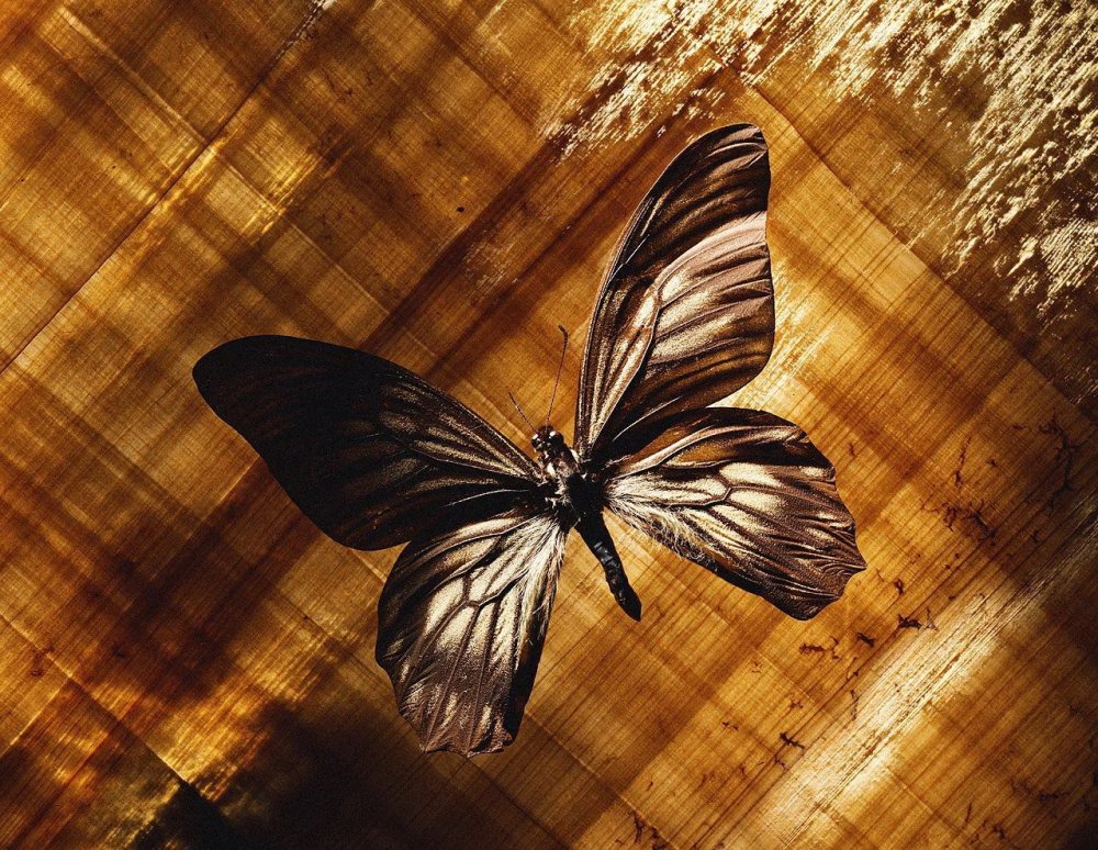 Цветочный золотой орнамент на тёмном фоне