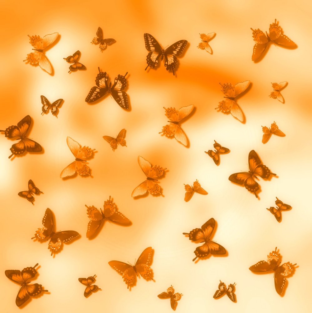 Золотые вензеля на черном фоне